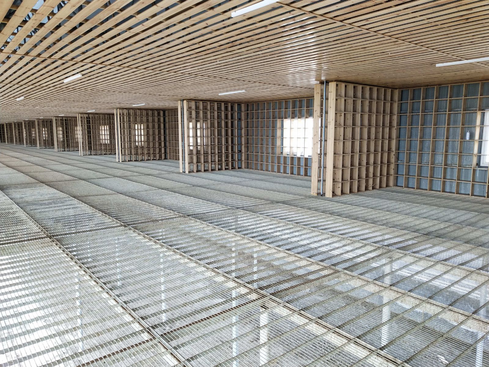 Shuxiang Pigeon Coop (Shuxiang Pigeon Racing Club's 2021 Autumn Pigeon Collection)